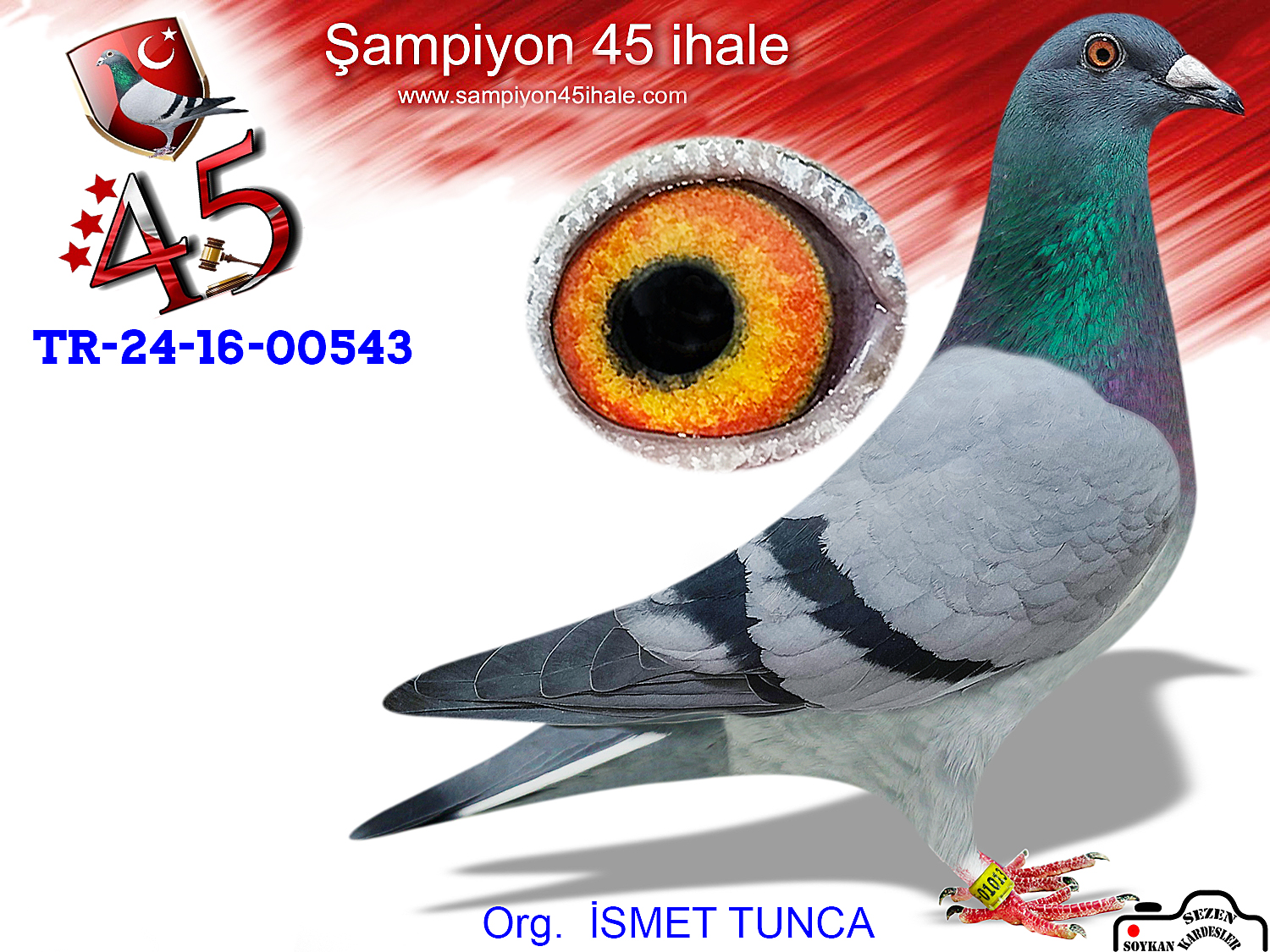 TR-24-35-01013 DİŞİ