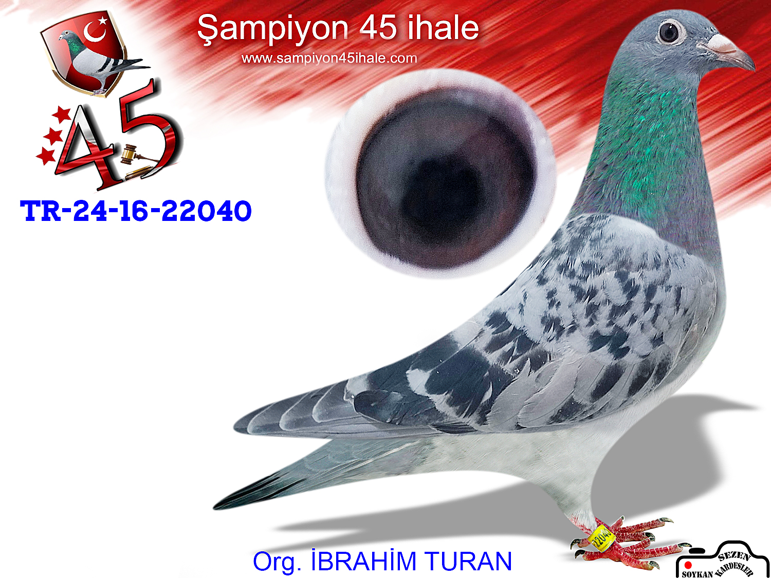 TR-24-16-22040 DİŞİ