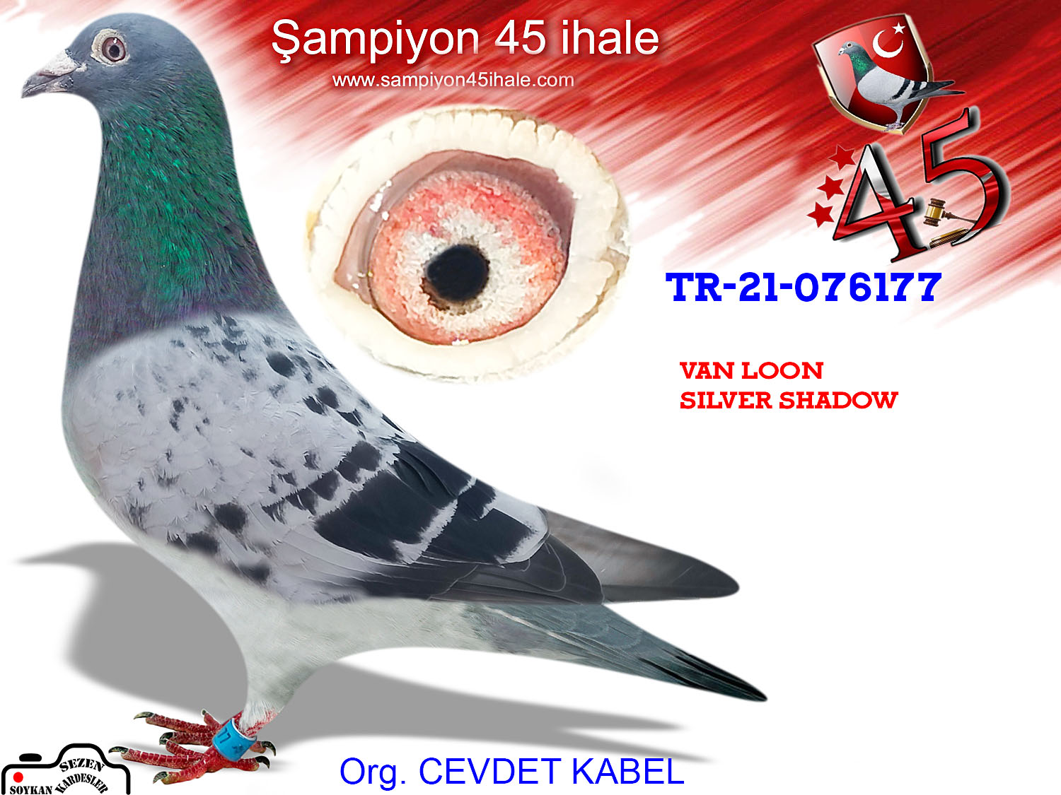 TR-21-076177  DİŞİ