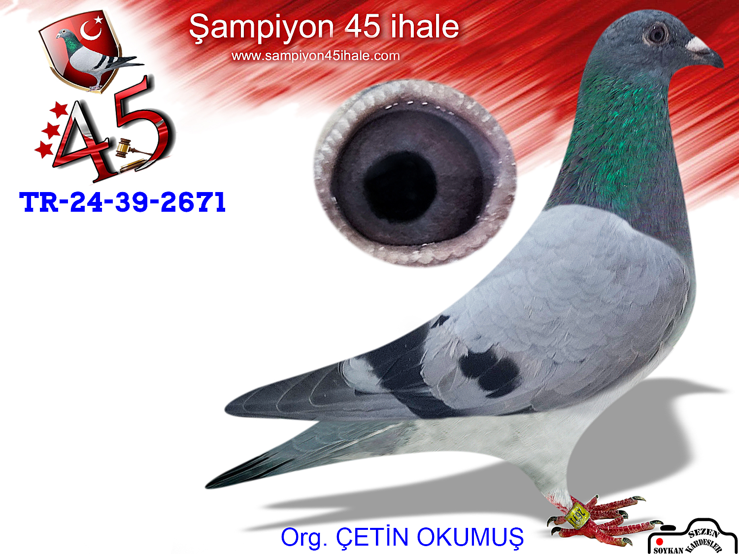 TR-24-39-2671 DİŞİ