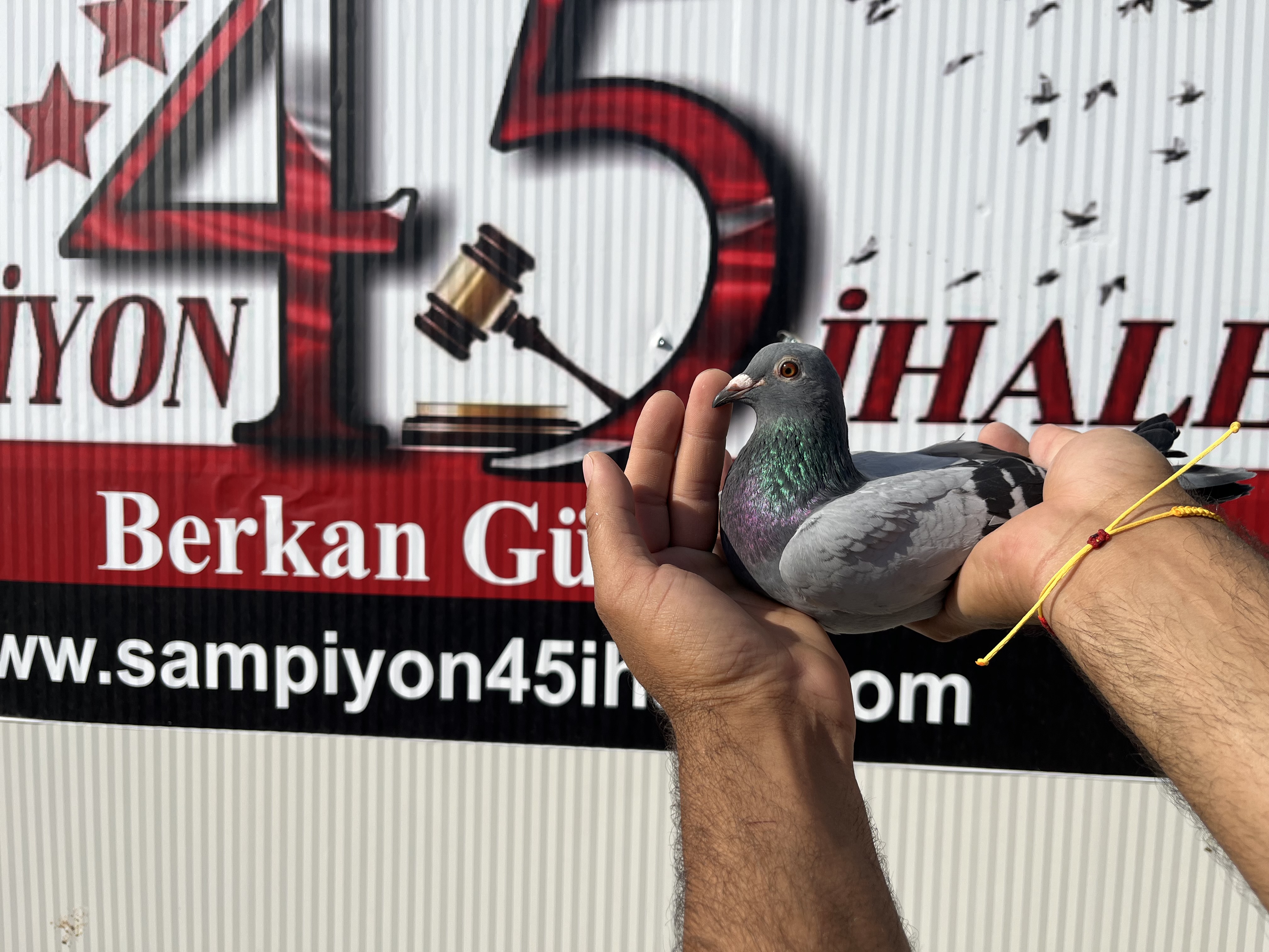 DV-05425-24-0825 DİŞİ