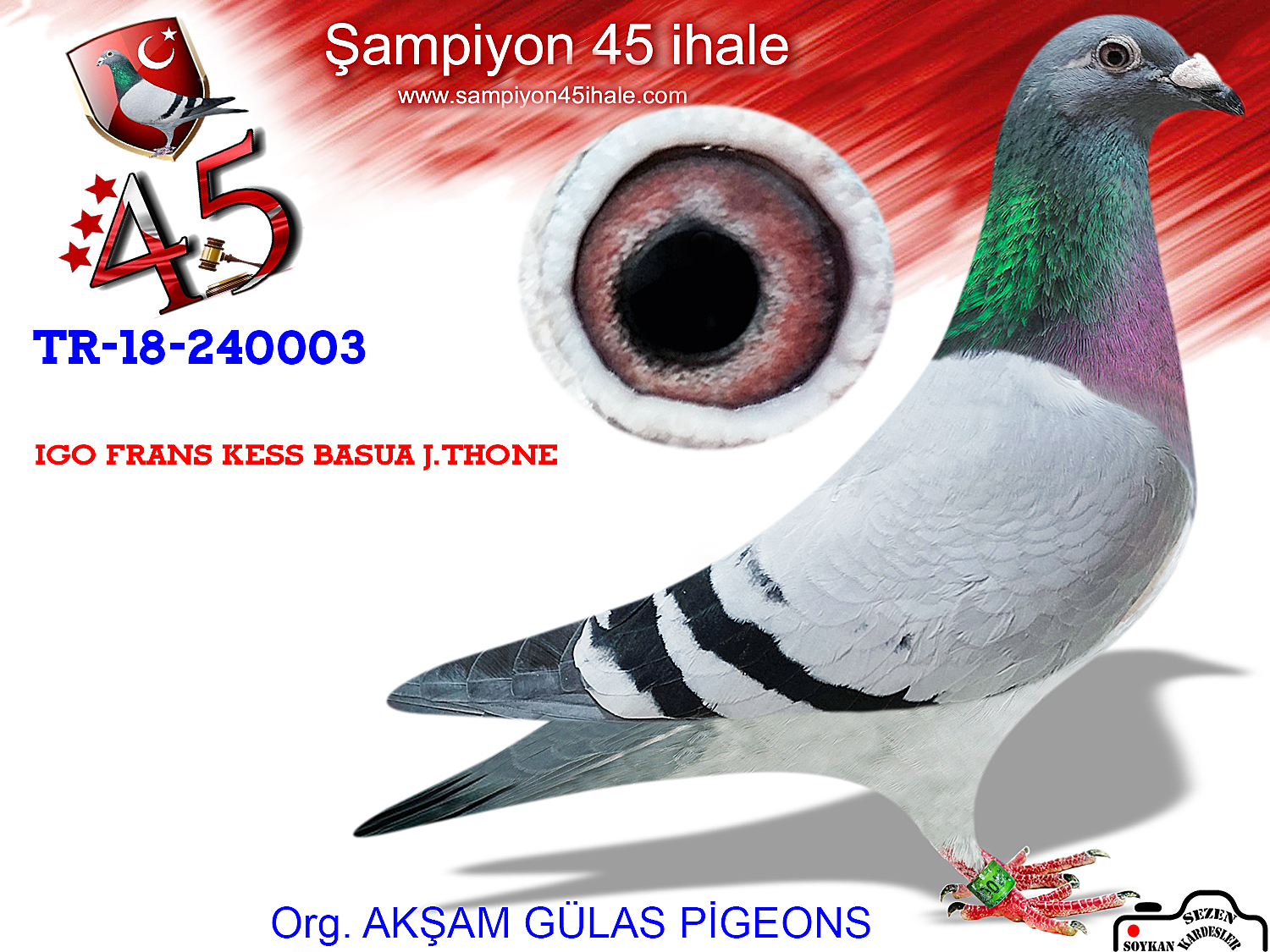 TR18-240003 DİŞİ