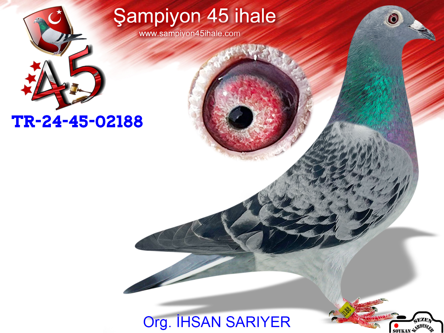 TR-24-45-02188 DİŞİ