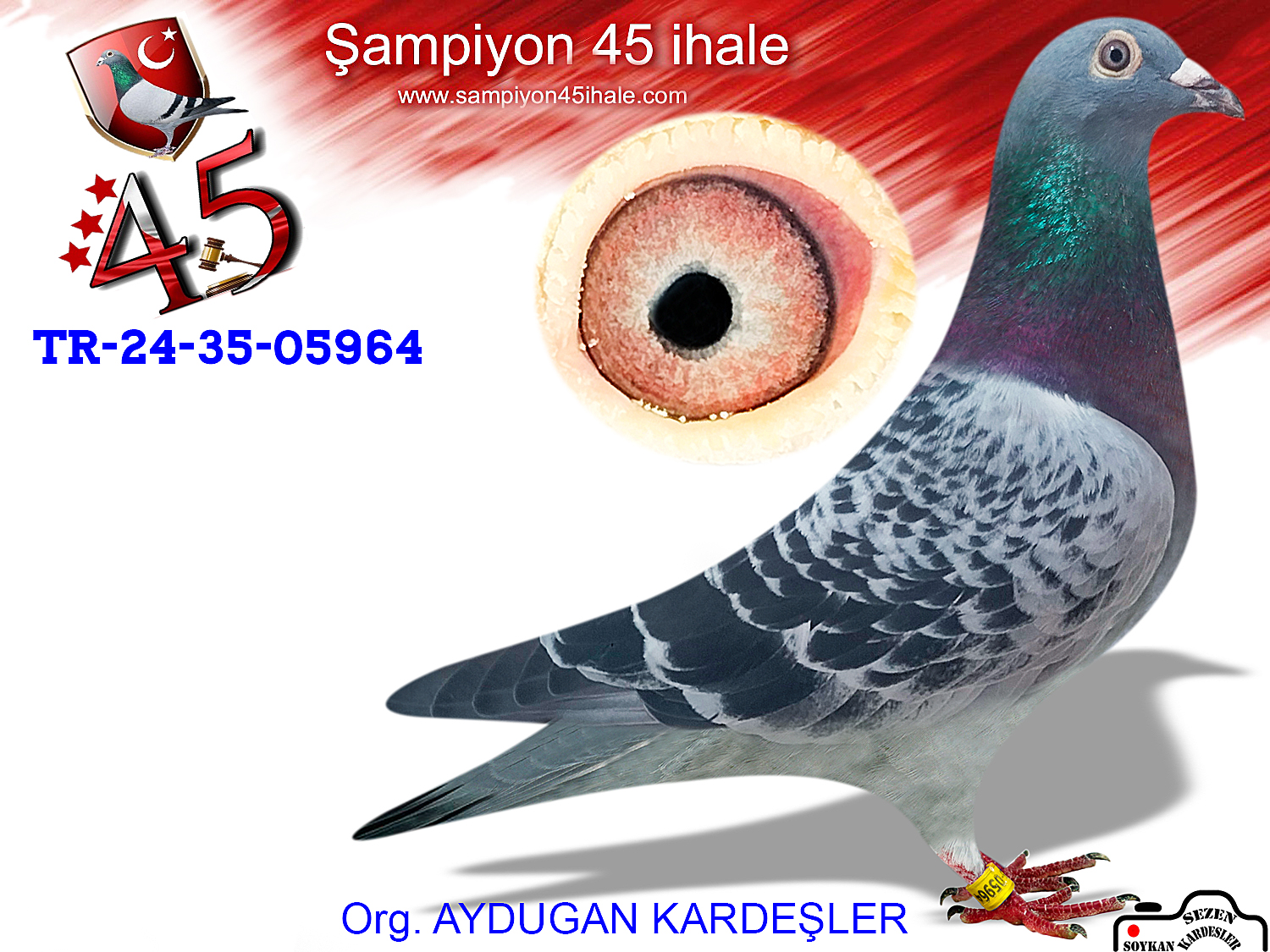 TR-24-35-05964 DİŞİ