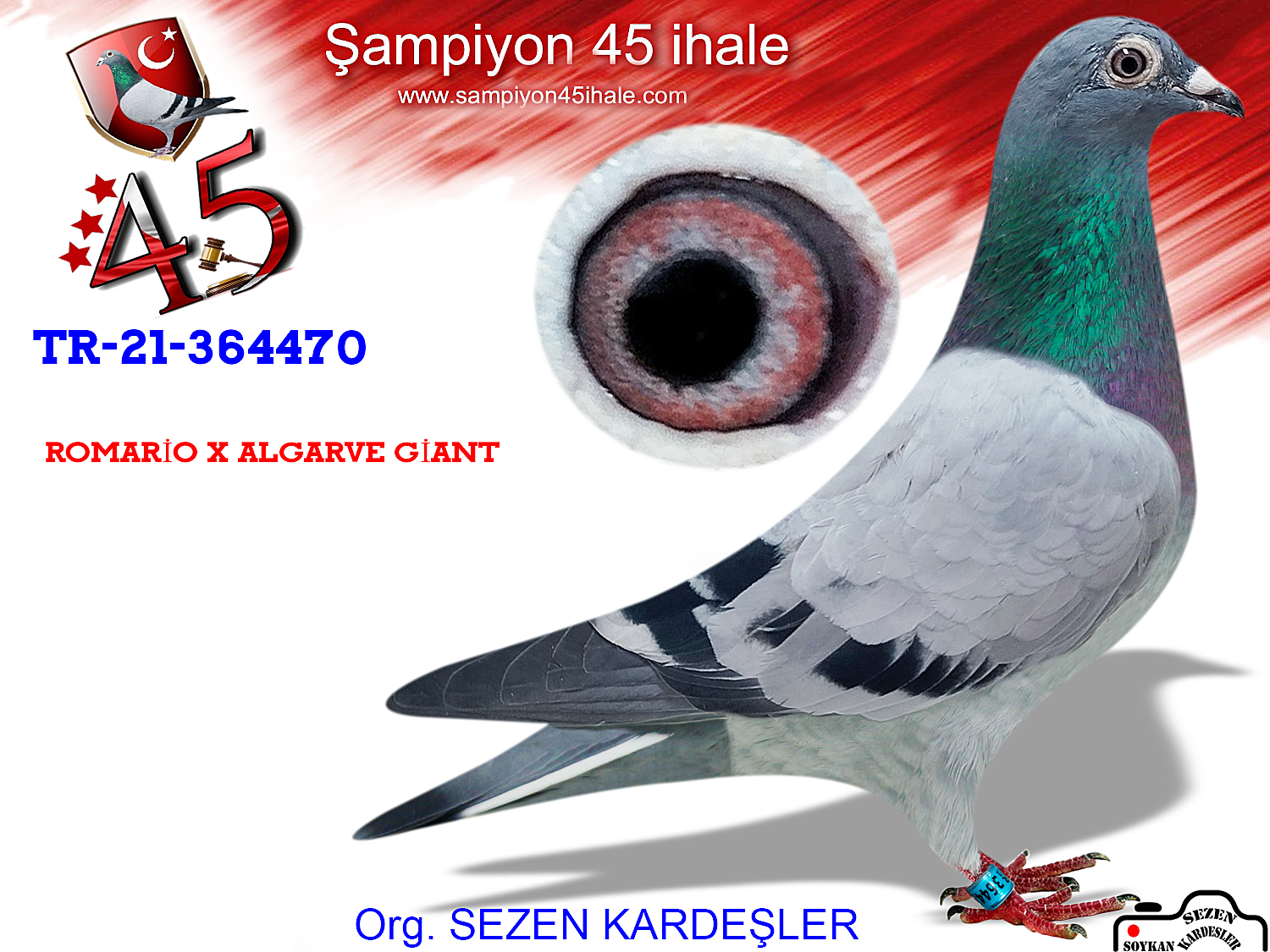 TR-21-364470 DİŞİ