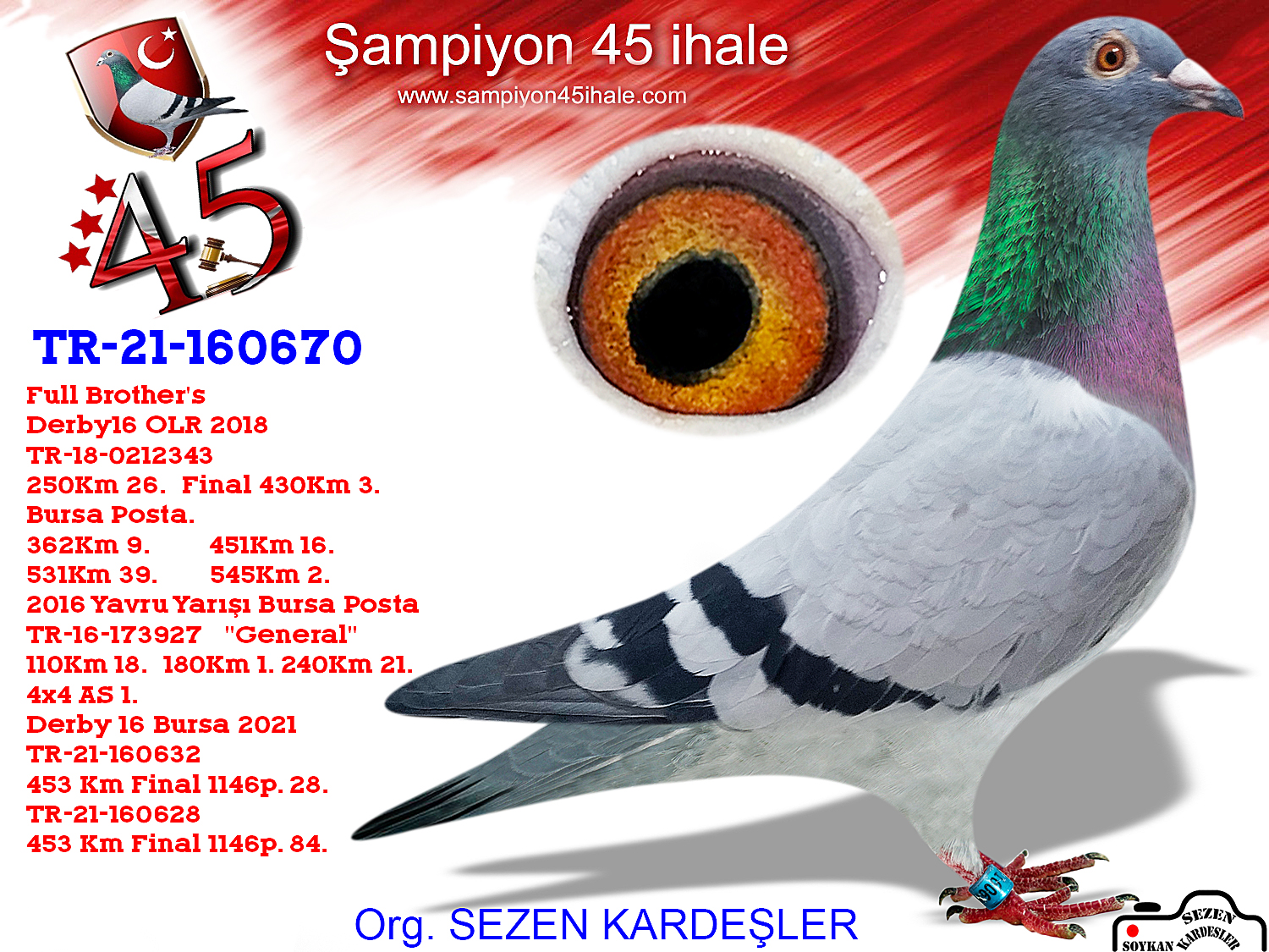 TR-21-160670 DİŞİ