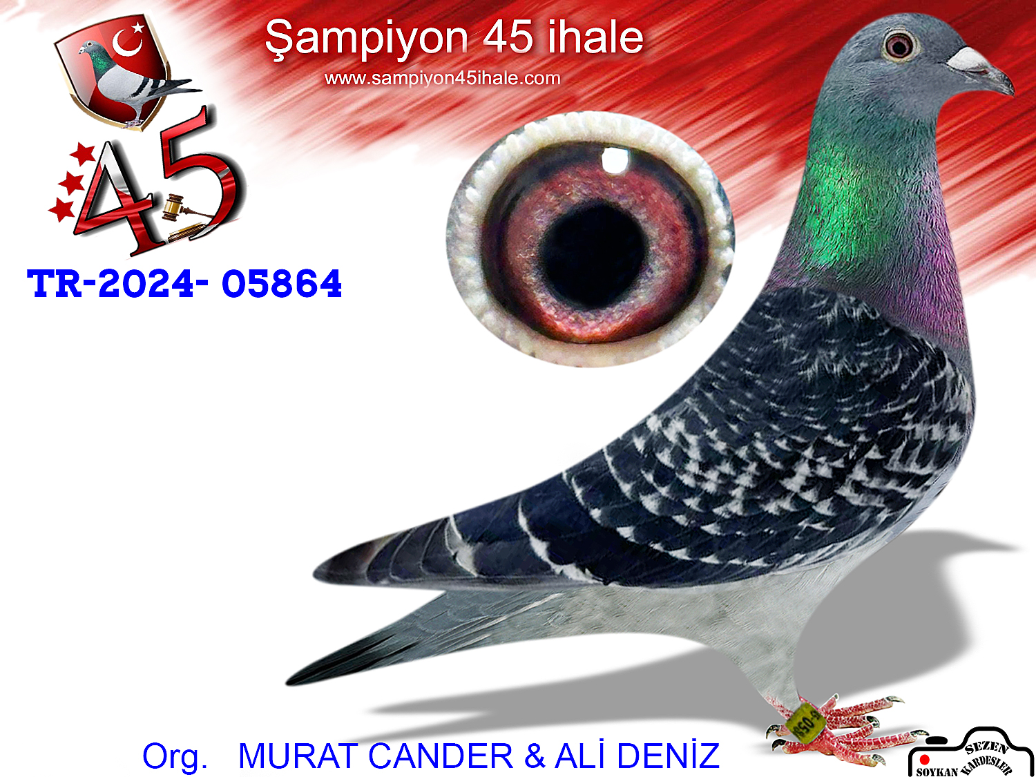 TR-24-45-05864 DİŞİ