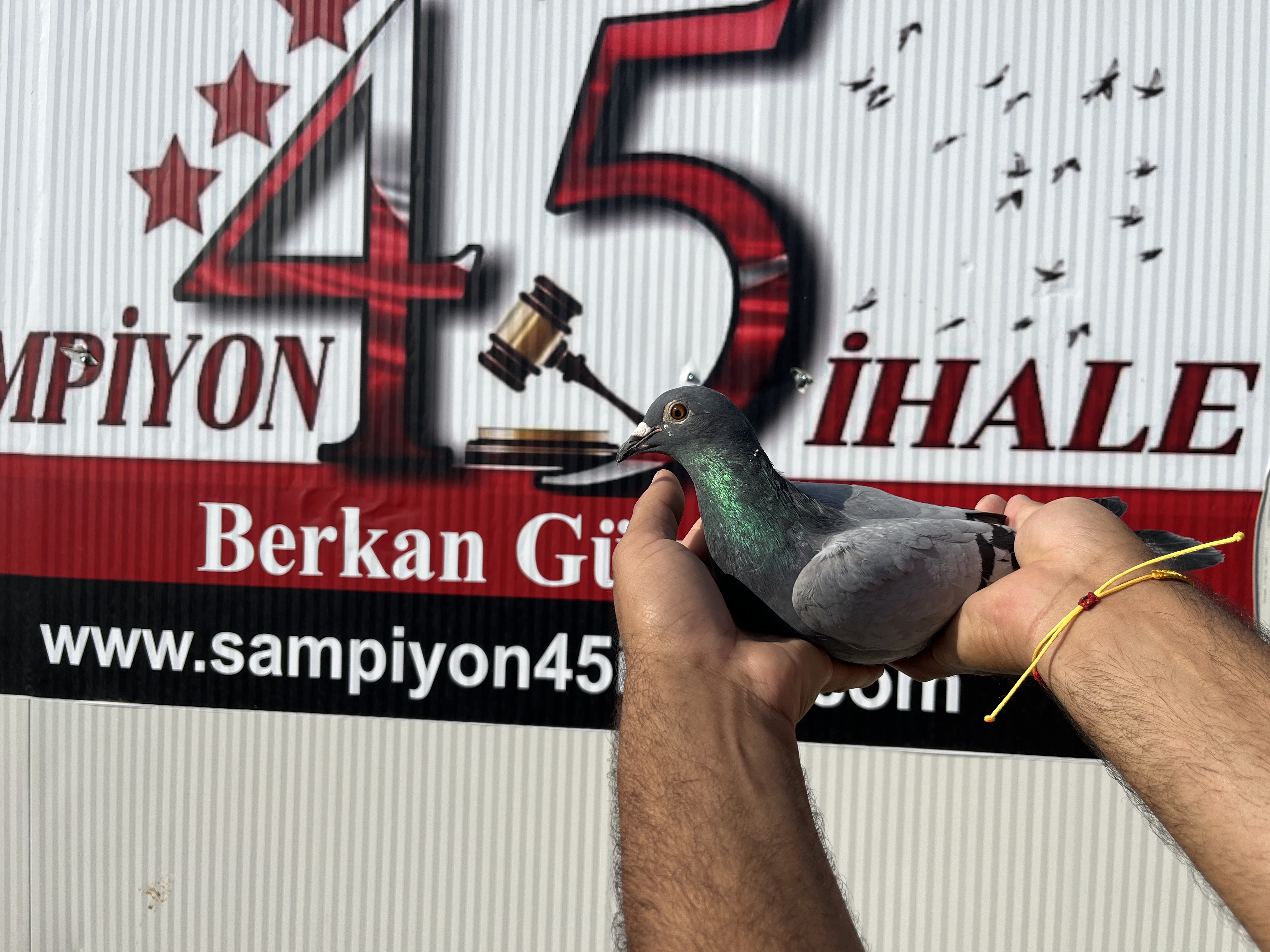 DV-05425-24-0870 DİŞİ