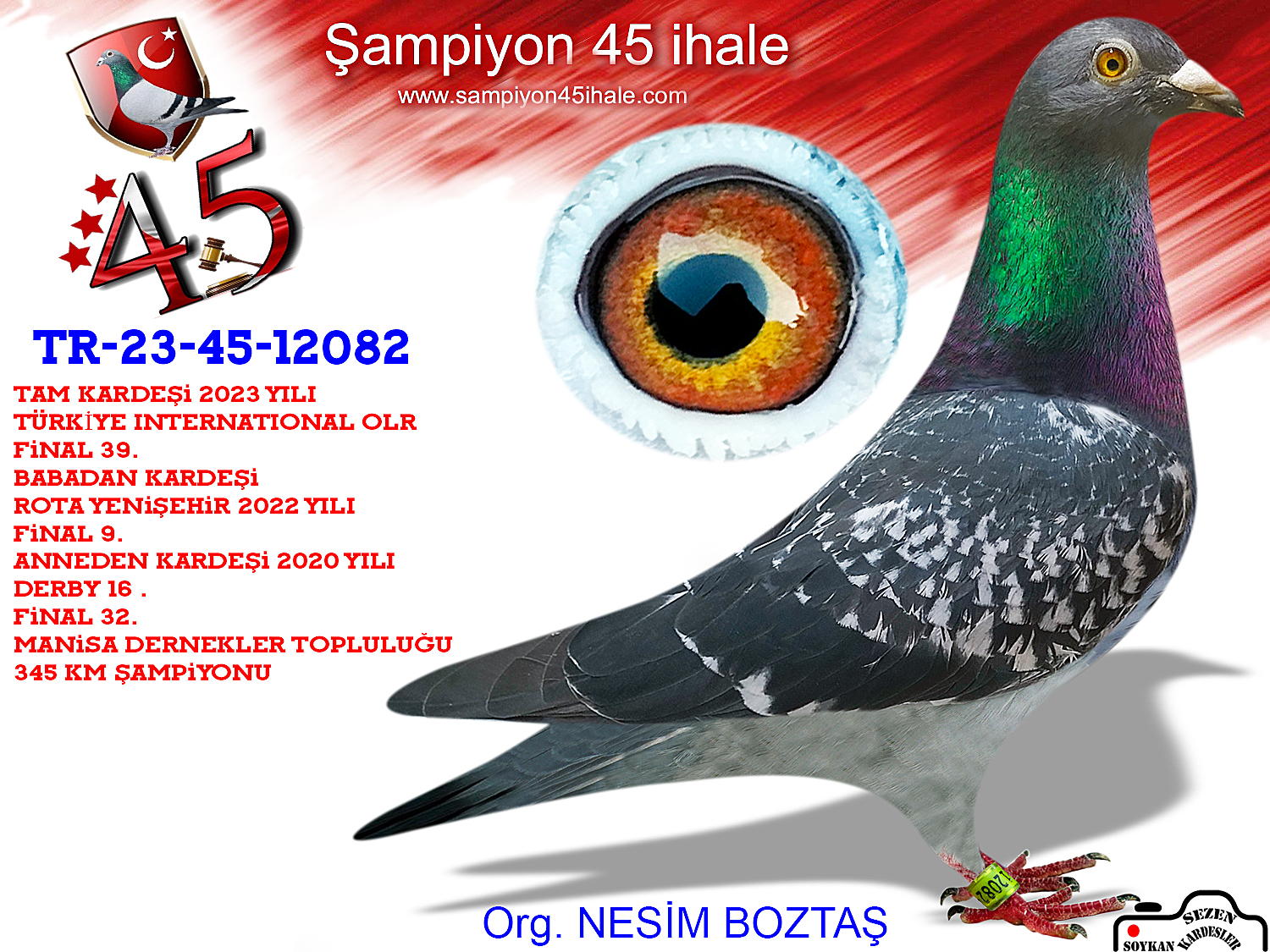 TR-23-45-12082 DİŞİ