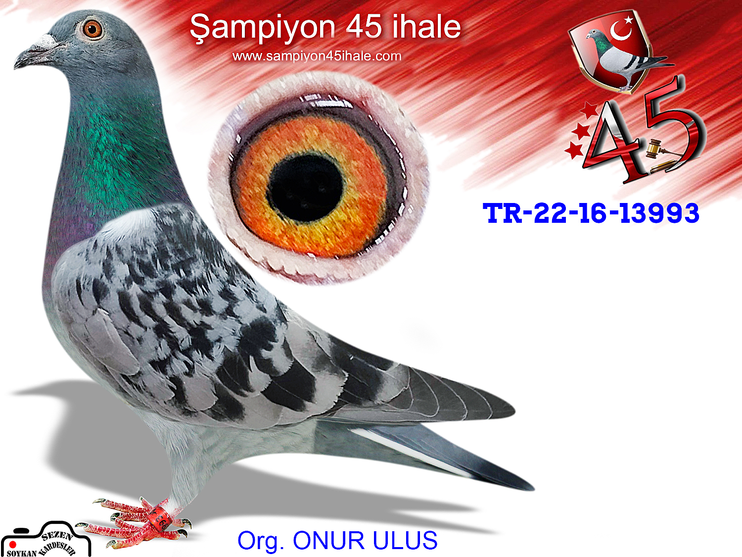 TR-22-16-13993 DİŞİ