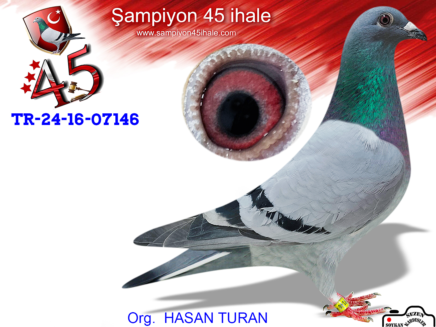 TR-24-16-07146 DİŞİ