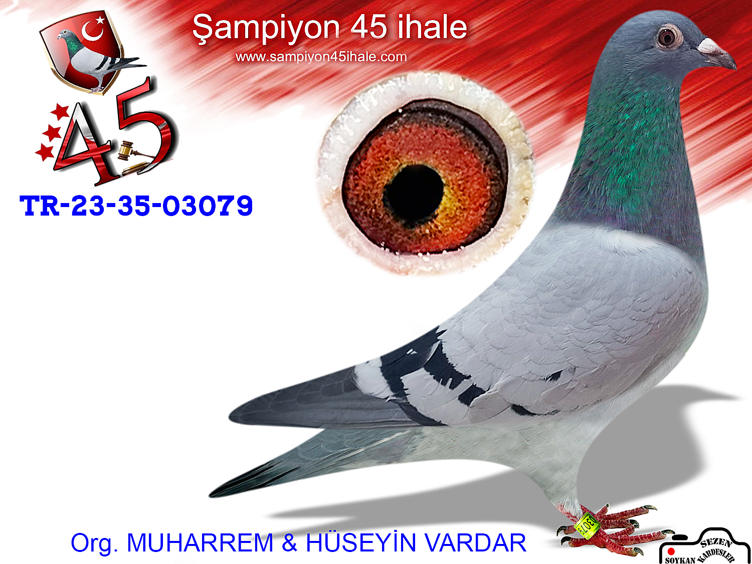 TR-23-35-03079 DİŞİ