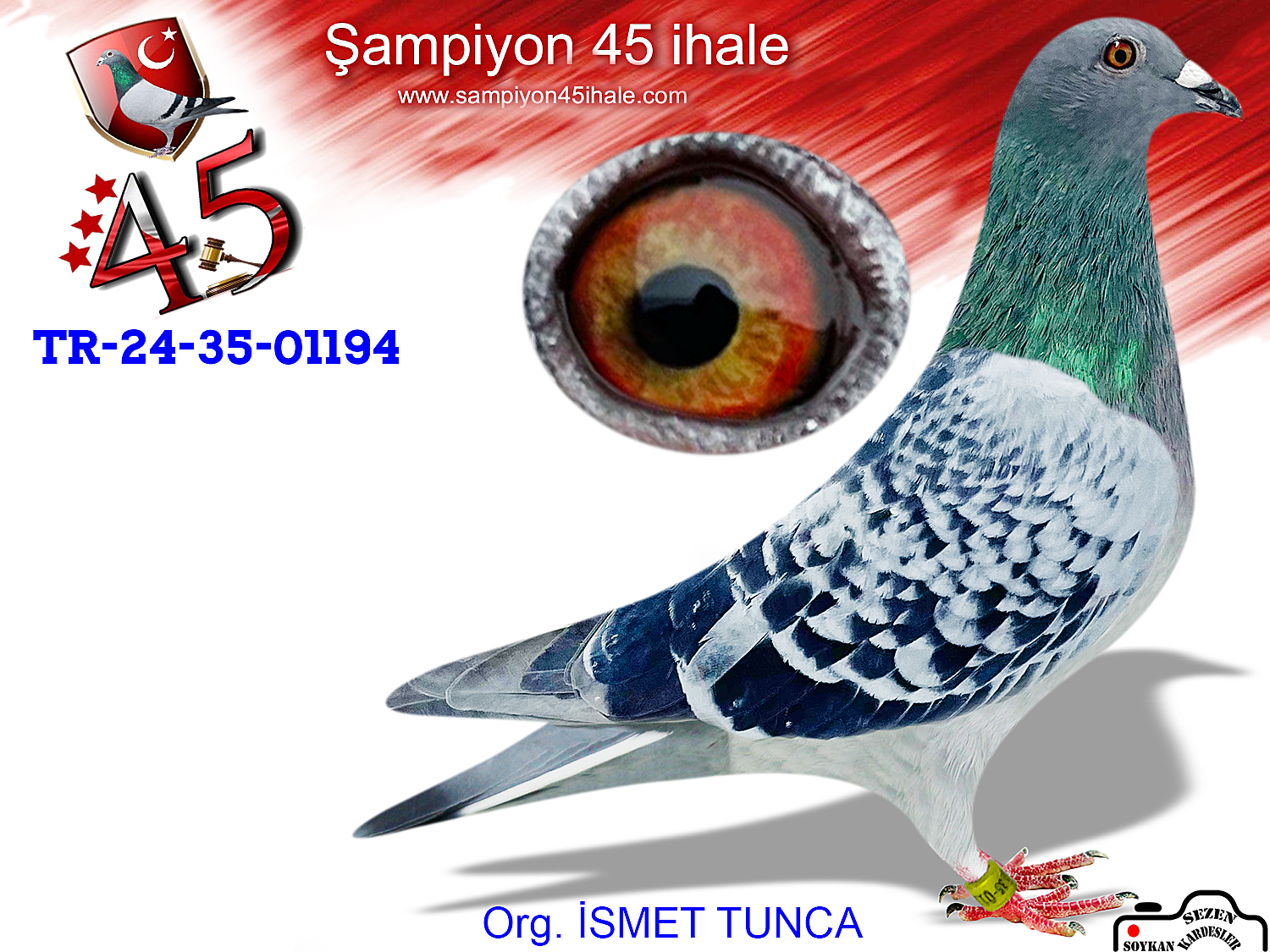 TR-24-35-01194 DİŞİ