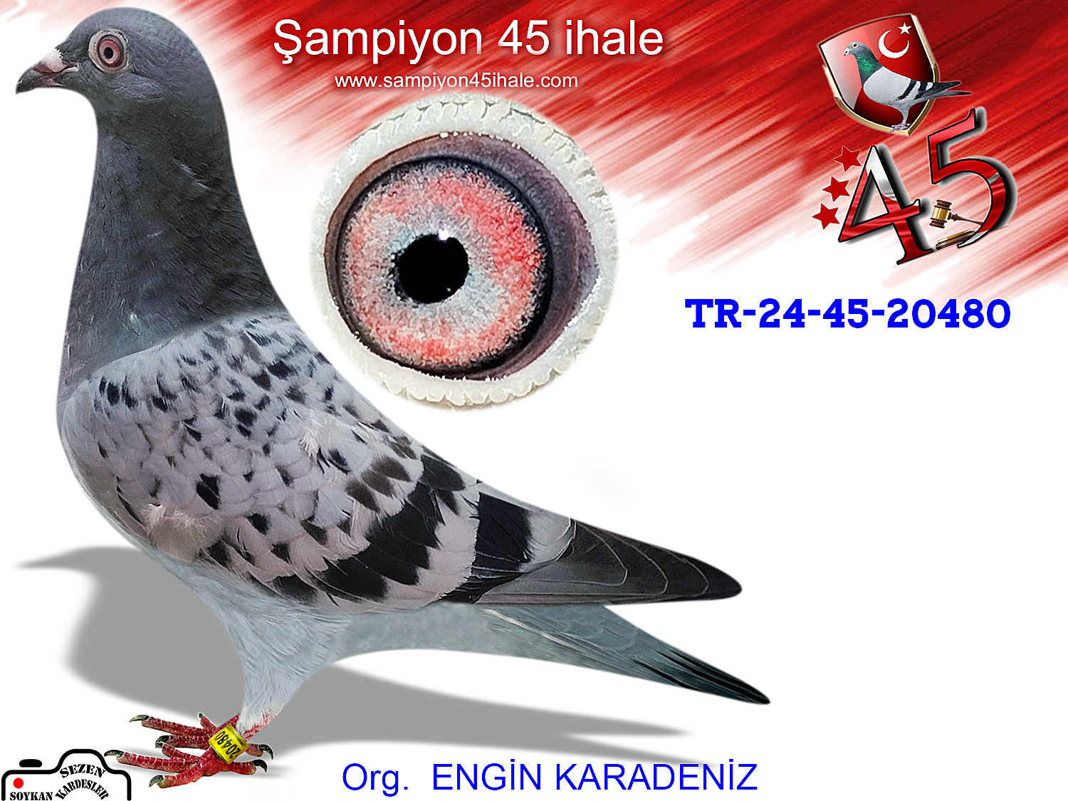 TR-24-45-20480 DİŞİ