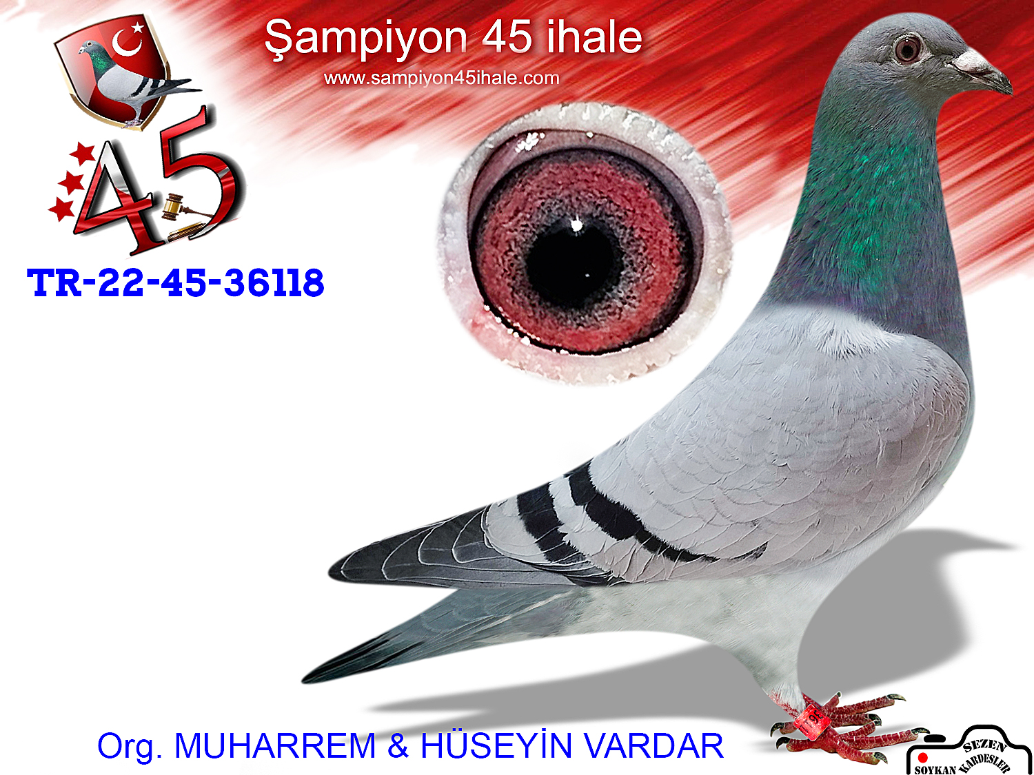 TR-22-45-36118 DİŞİ