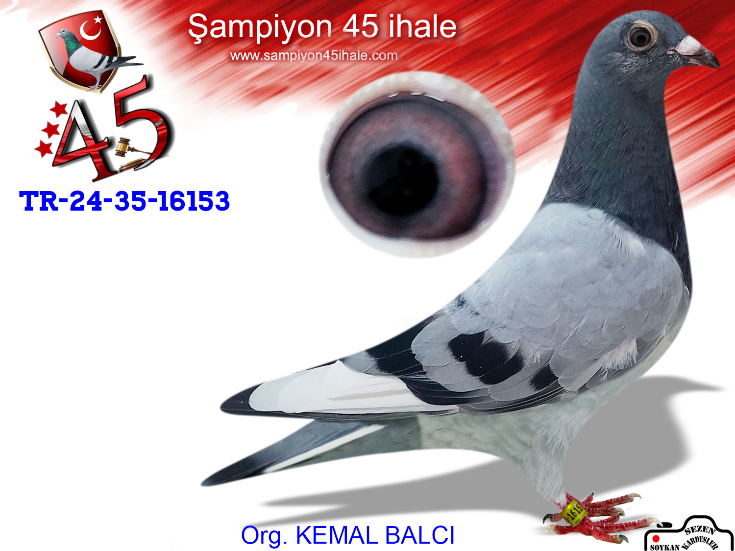 TR-24-35-16153 DİŞİ