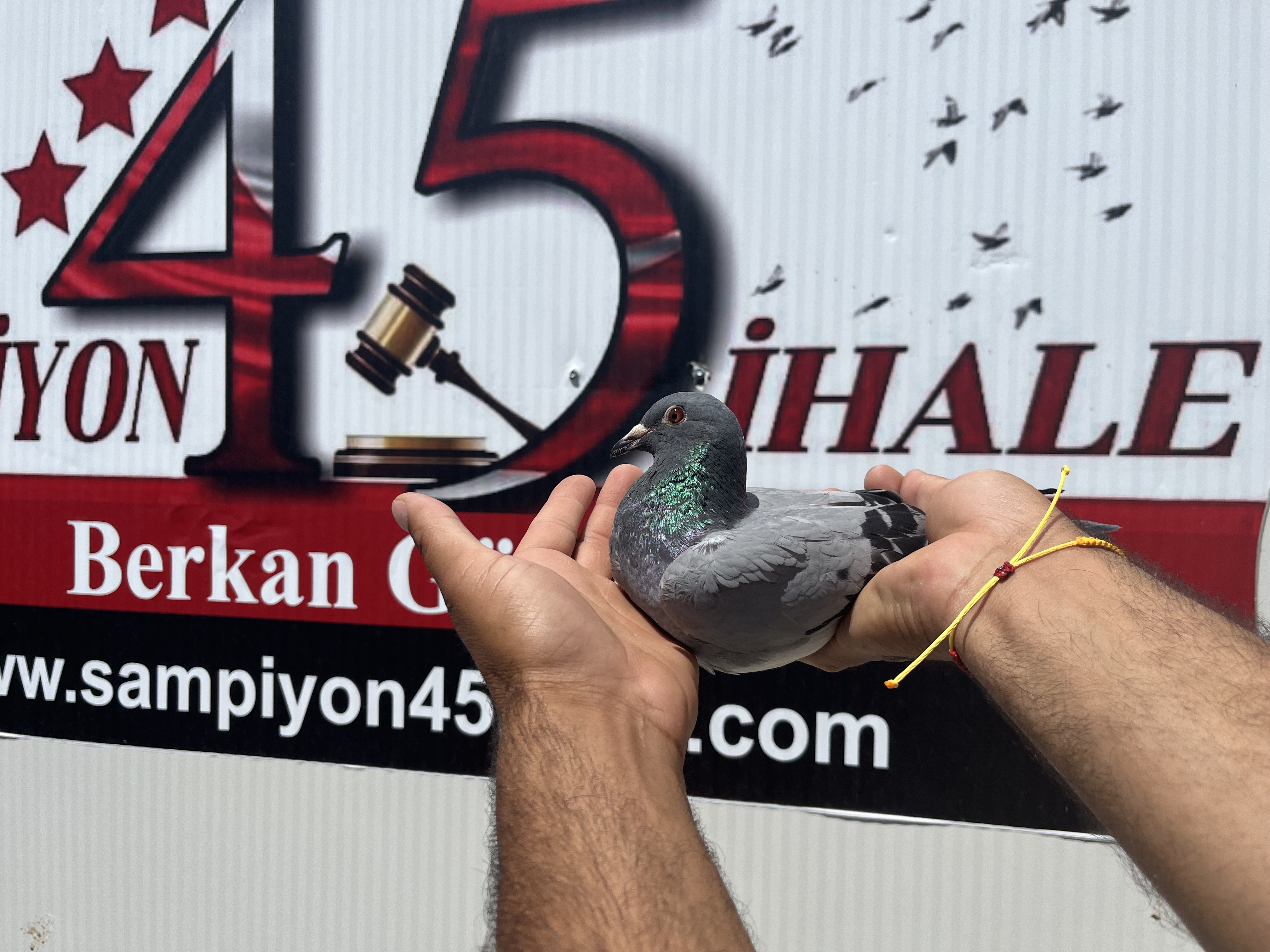 DV-05425-24-841 DİŞİ