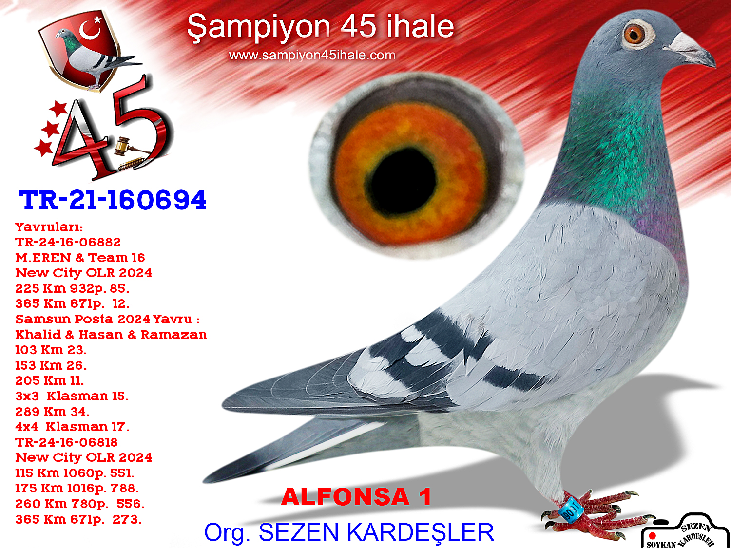 TR-16-160694 DİŞİ