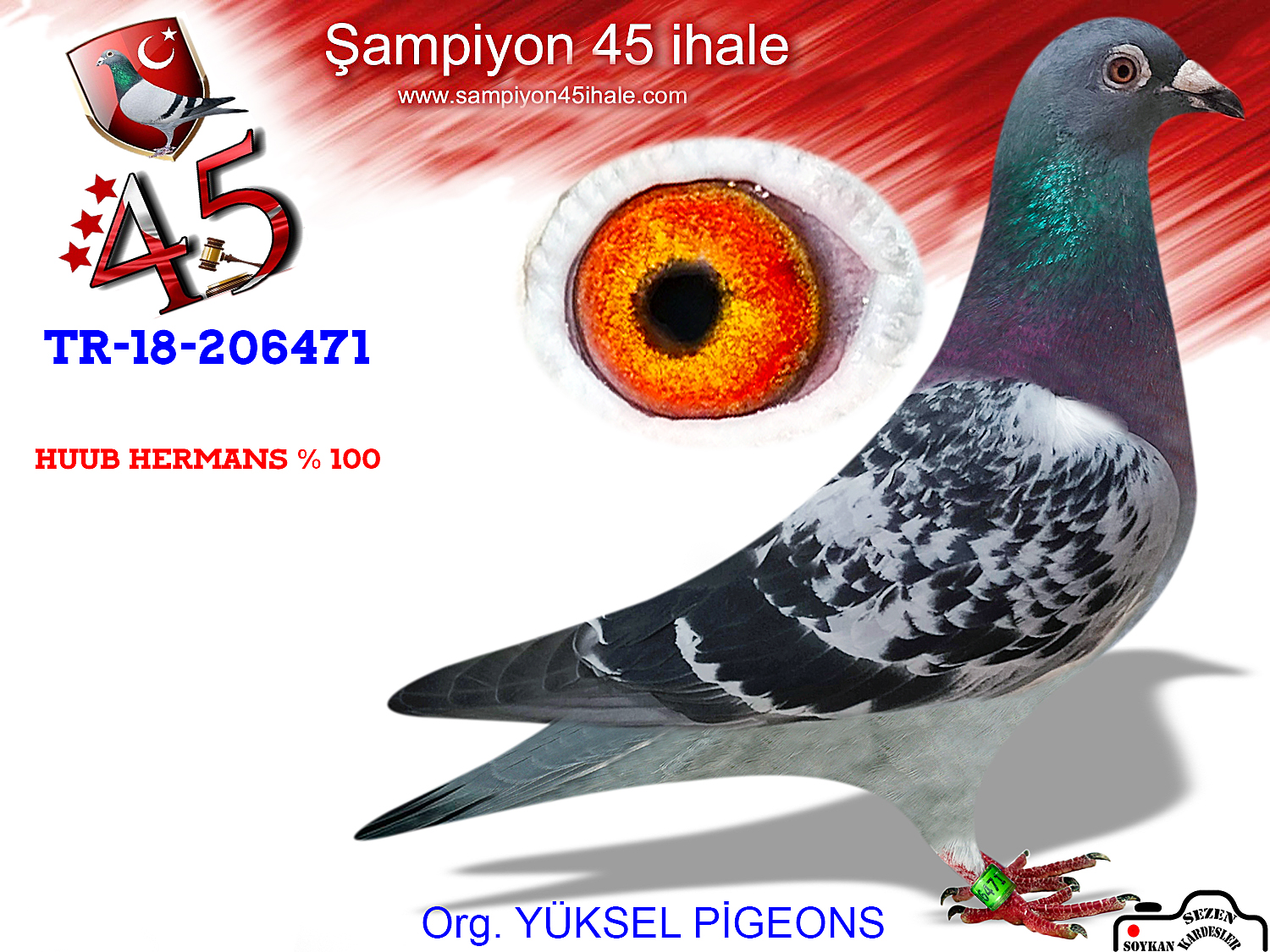 TR-18-206471 DİŞİ