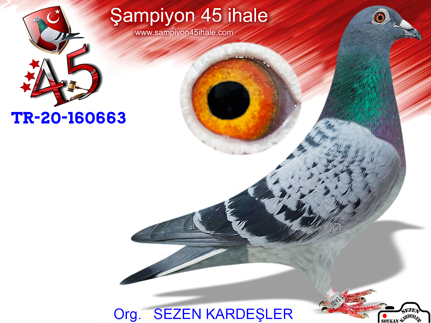 TR-20-160663 DİŞİ