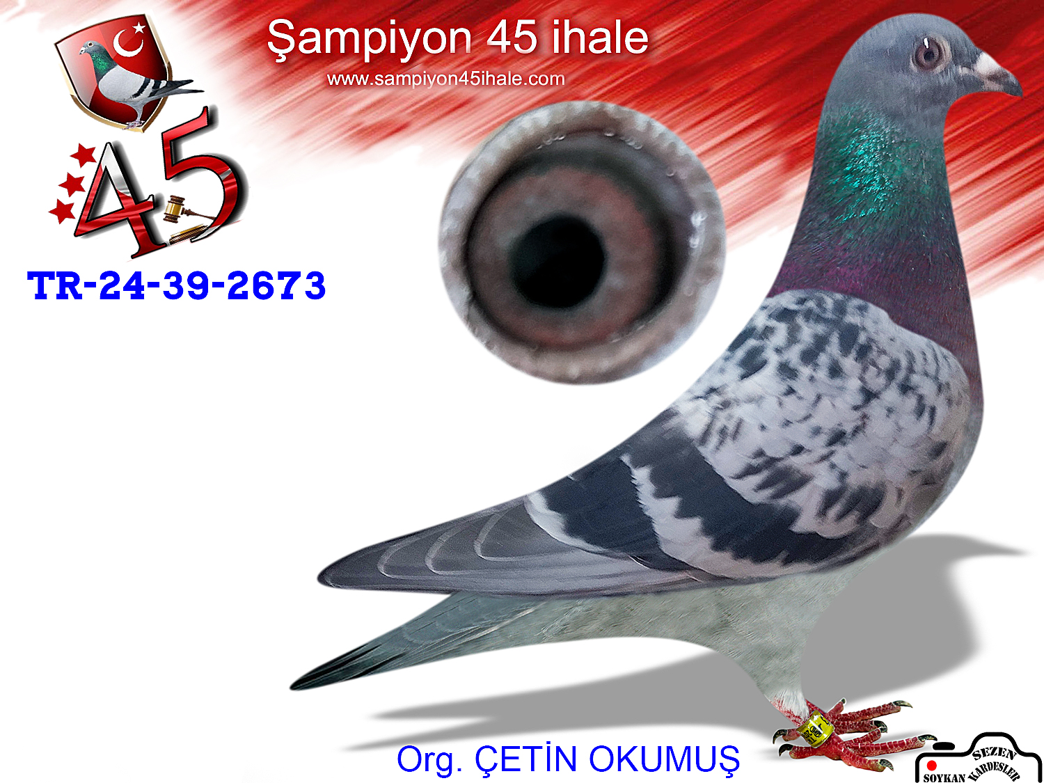 TR-24-39-2673 DİŞİ