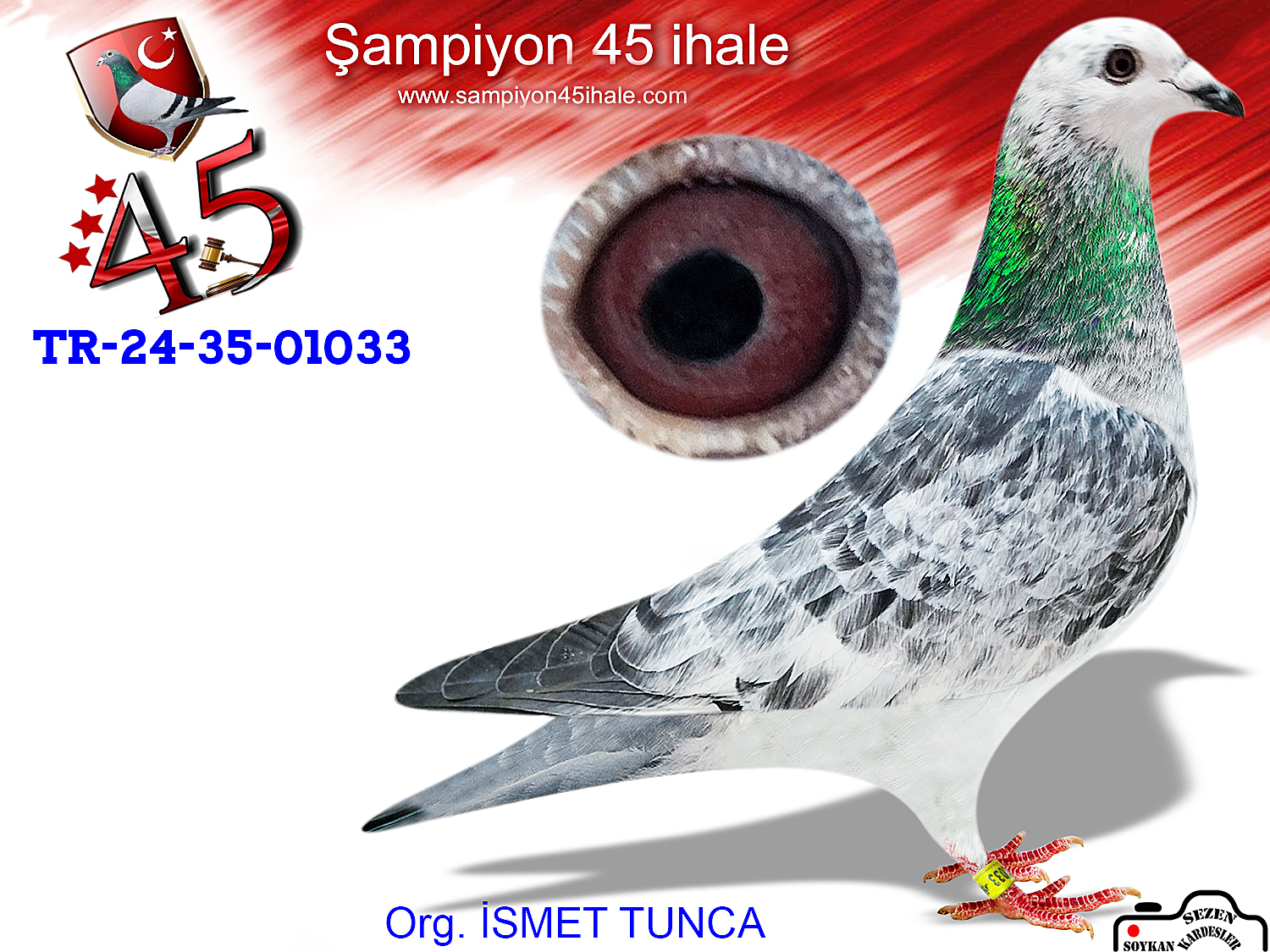 TR-24-35-1033 DİŞİ